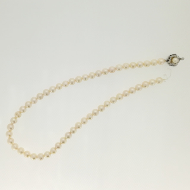 S340009-necklace-sv-before.jpg